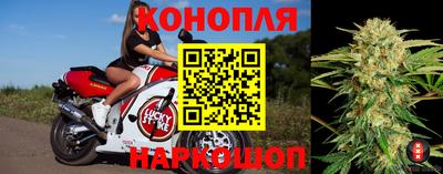 тгк Пенза