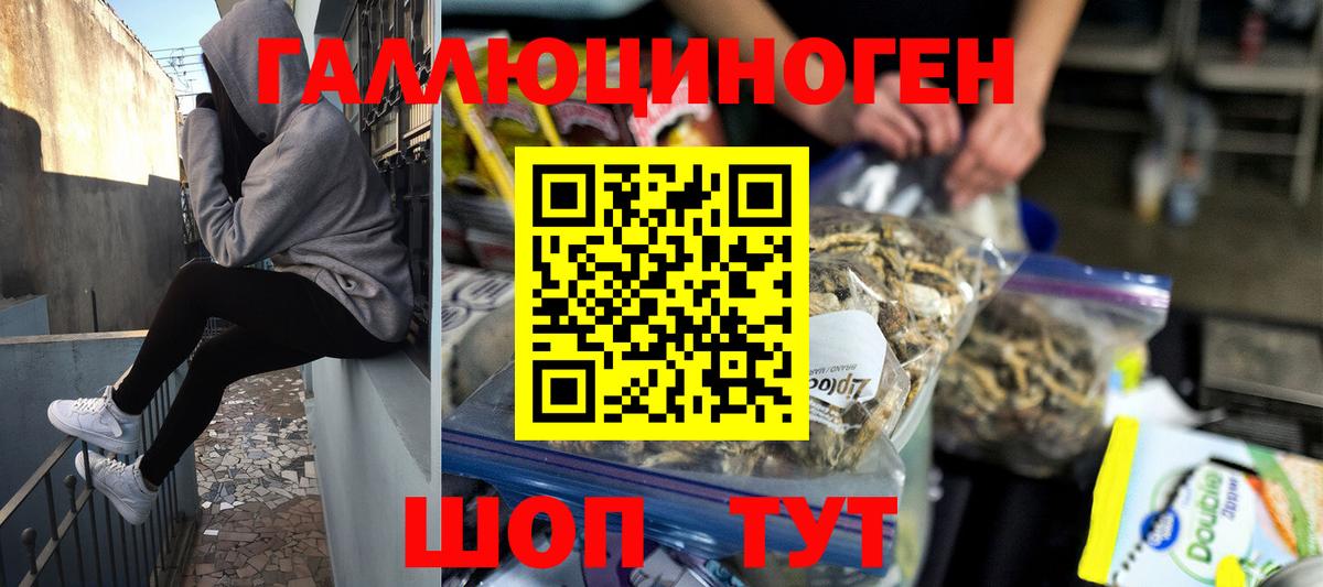 Псилоцибиновые грибы Psilocybine cubensis Таганрог